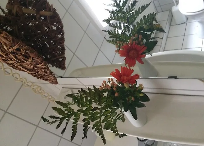 Отель Ragusa 3*